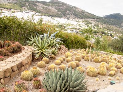 Jardín Botánico de Cactus-Casarabonela