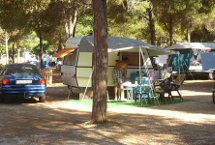 Parcelas camping Standard